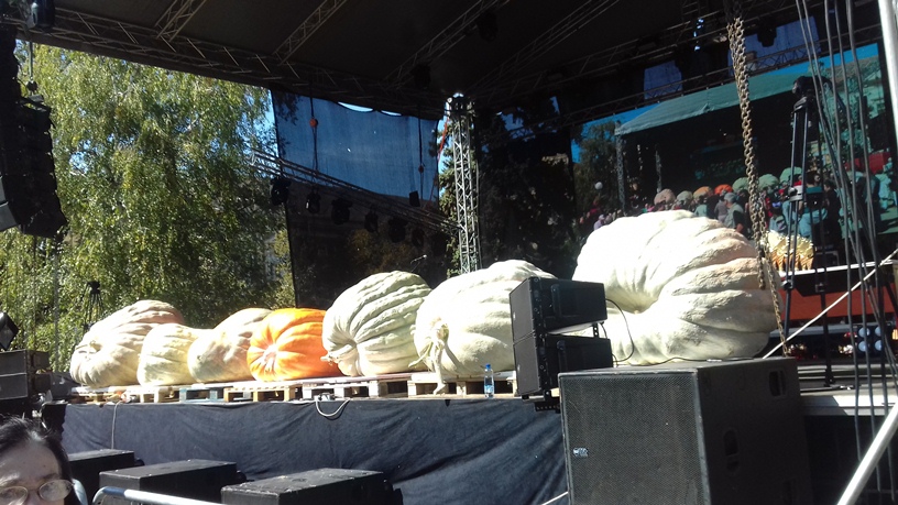 20190921 123432 Kikinda -34.dani ludaje 21. sept. 2019